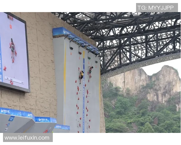 南京攀岩队与杭州攀岩队赛后战术分析与总结探讨